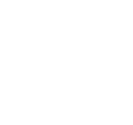 Facturas y finanzas Icon